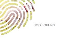 Dog Fouling