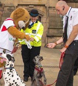 Dog Wardens